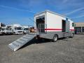 Camion Renault AE 390