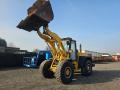 Chargeuse Hanomag 50 E S
