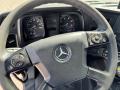 Camion Mercedes Antos