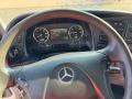 Camion Mercedes Actros