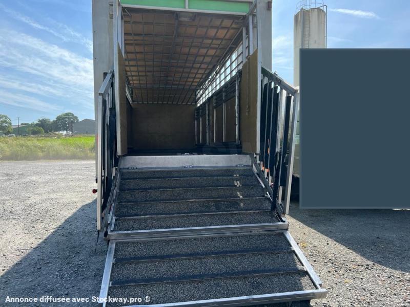 Photo DAF XF95 410 image 11/15