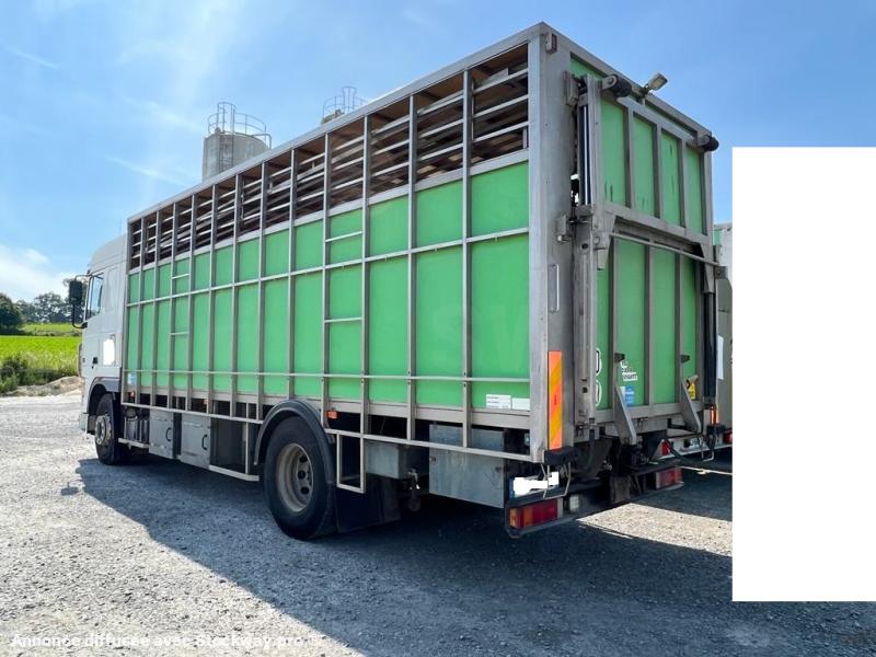 Photo DAF XF95 410 image 12/15