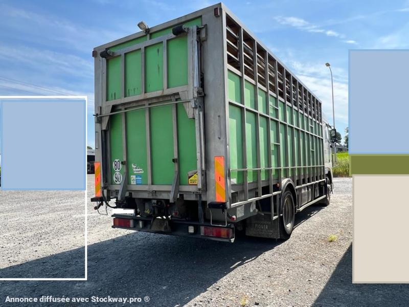 Photo DAF XF95 410 image 7/15