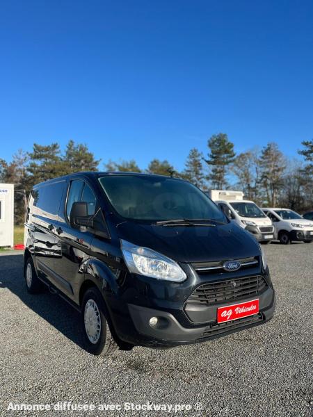 Photo Ford Transit 2.2 TDCi 130 image 4/13