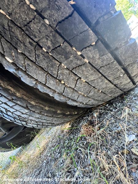 Photo DAF CF 450  image 11/19