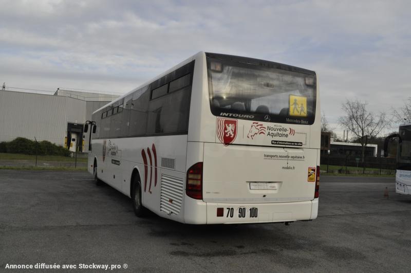 Photo Mercedes Benz Intouro M/L  image 11/15