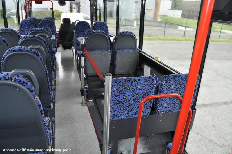 Photo MAN Scoler 3 Auto Ecole  image 6/18