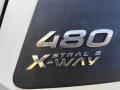 Truck Iveco Stralis X-Way