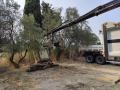 Truck Renault Kerax 460