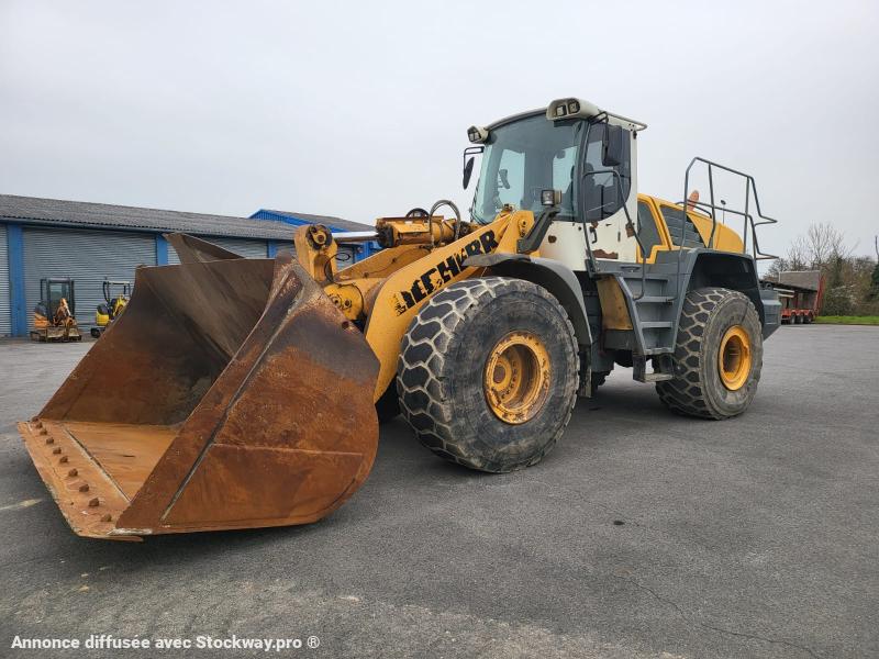 Photo Liebherr L580 2plus2  image 11/24