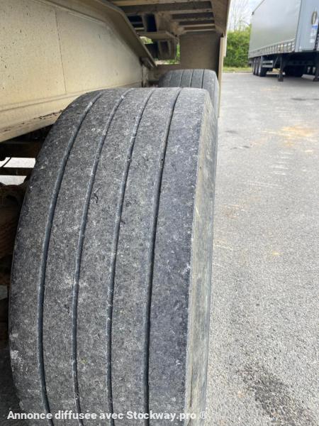 Photo Benalu Non spécifié  image 10/15