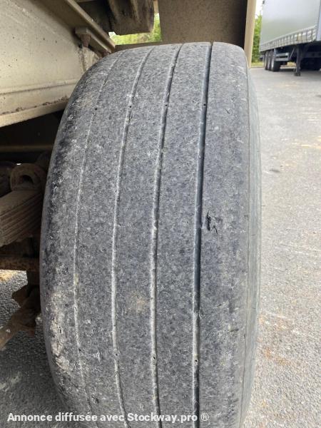 Photo Benalu Non spécifié  image 11/15