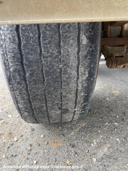 Photo Benalu Non spécifié  image 12/15