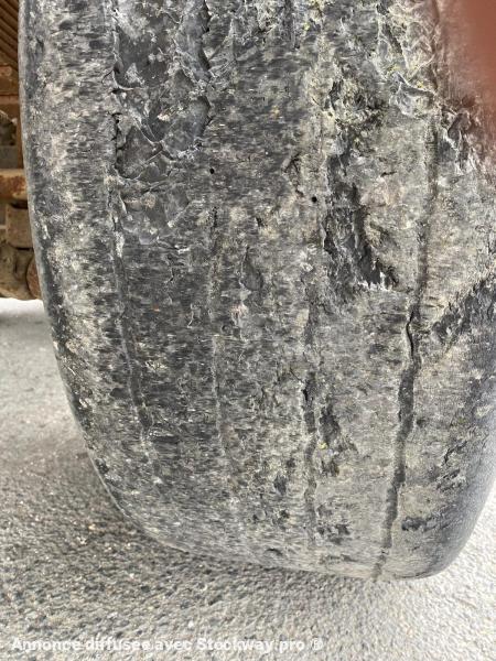 Photo Benalu Non spécifié  image 13/15