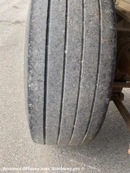 Photo Benalu Non spécifié  image 14/15