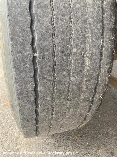 Photo Benalu Non spécifié  image 15/15