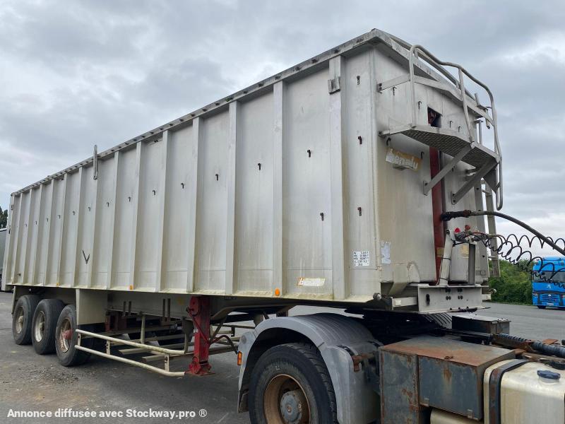 Photo Benalu Non spécifié  image 2/15