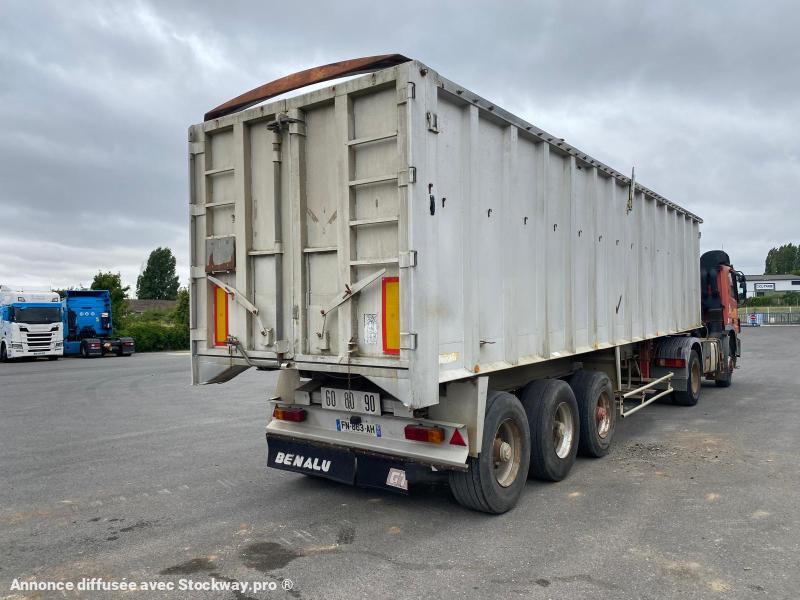 Photo Benalu Non spécifié  image 3/15