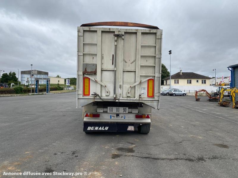 Photo Benalu Non spécifié  image 4/15