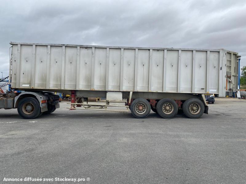 Photo Benalu Non spécifié  image 5/15