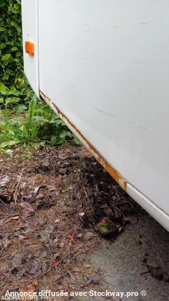 Photo nc A91  image 12/15