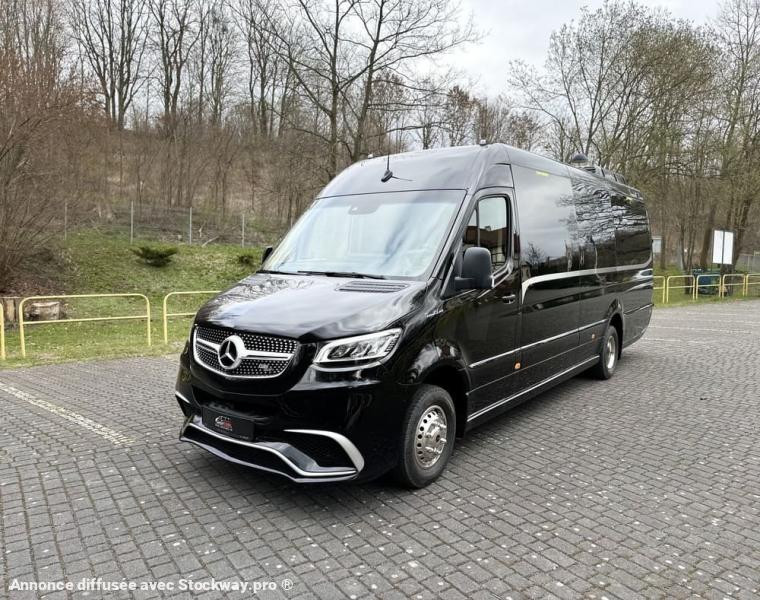 Photo Mercedes Sprinter Cuby 22+1+1+Rampe d'accès handicapé image 4/16