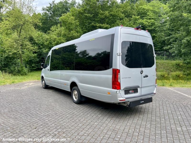 Photo Mercedes Sprinter Cuby HD 22+1+1+acenseur Tourist Line image 6/15