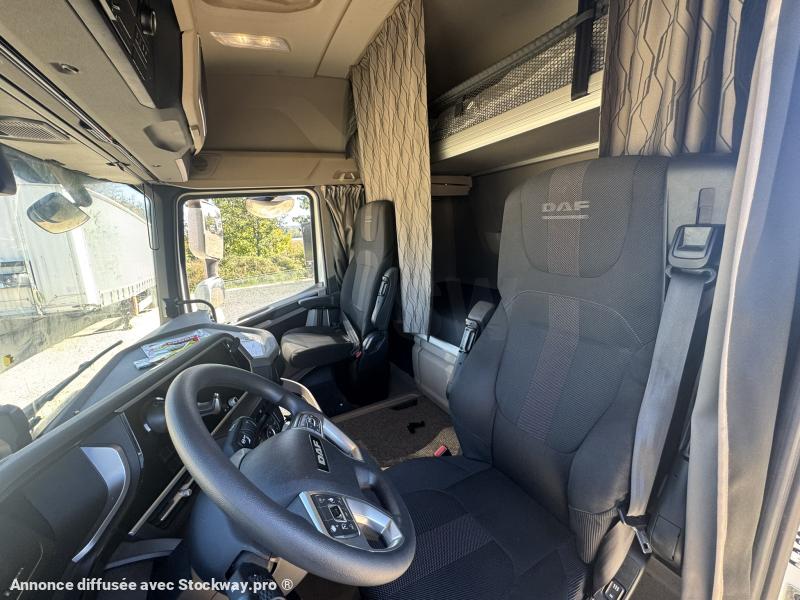 Photo DAF XG XG 530 image 10/10