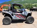 Voiture Yamaha BUGGY SSV RMAX 1000 WOLVERINE