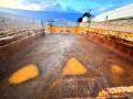 Remorque agricole JOSKIN Trans-KTP 11/45 Remorque agricole 2essieux 11T
