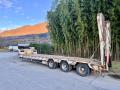 Semi-remorque Actm S44315CHC porte engins 3 essieux 34T