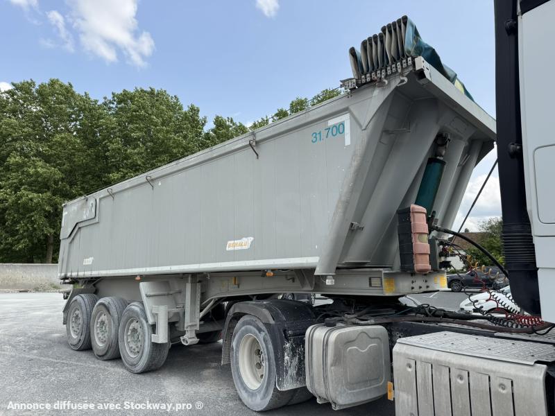 Photo Benalu Non spécifié  image 6/11