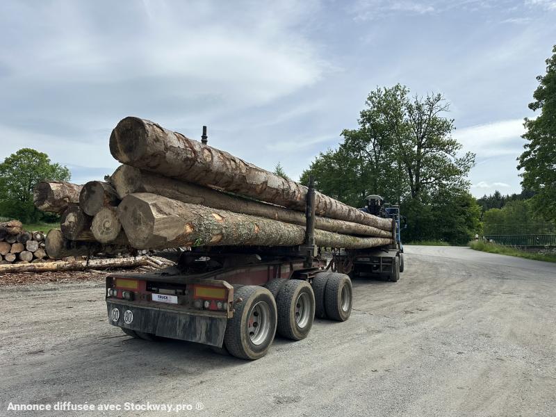 Photo Mercedes Arocs 3363 image 8/16