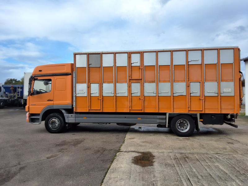 Camión Mercedes Atego 1624 Vehículo para ganado Porcinos