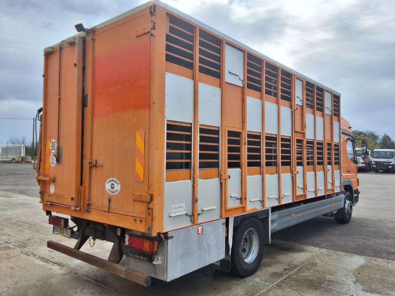 Camión Mercedes Atego 1624 Vehículo para ganado Porcinos