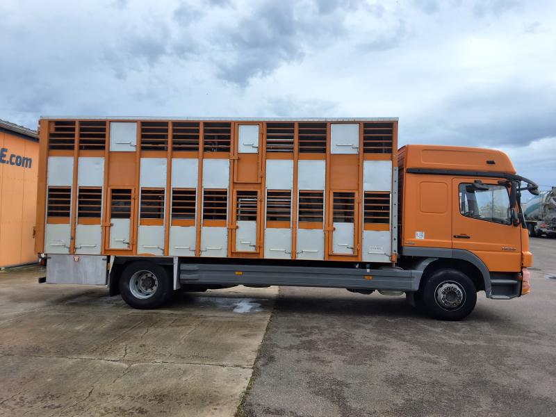 Camión Mercedes Atego 1624 Vehículo para ganado Porcinos