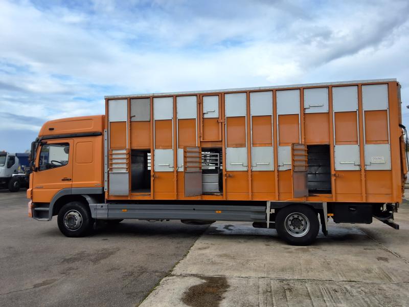 Camión Mercedes Atego 1624 Vehículo para ganado Porcinos