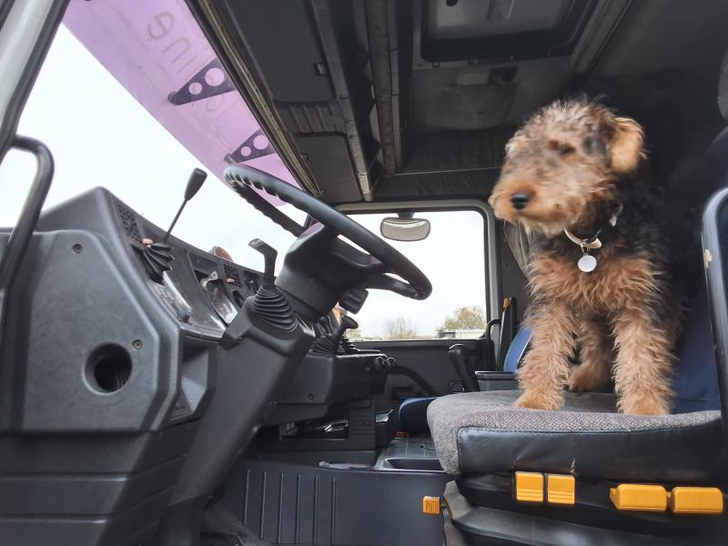 truck Scania M 143M450 Tarp truck