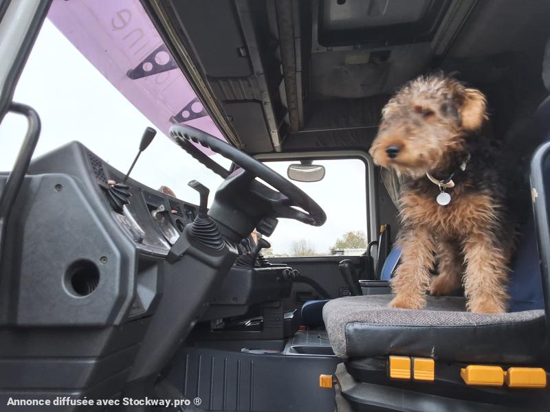 Photo Scania M 143M450 image 7/9